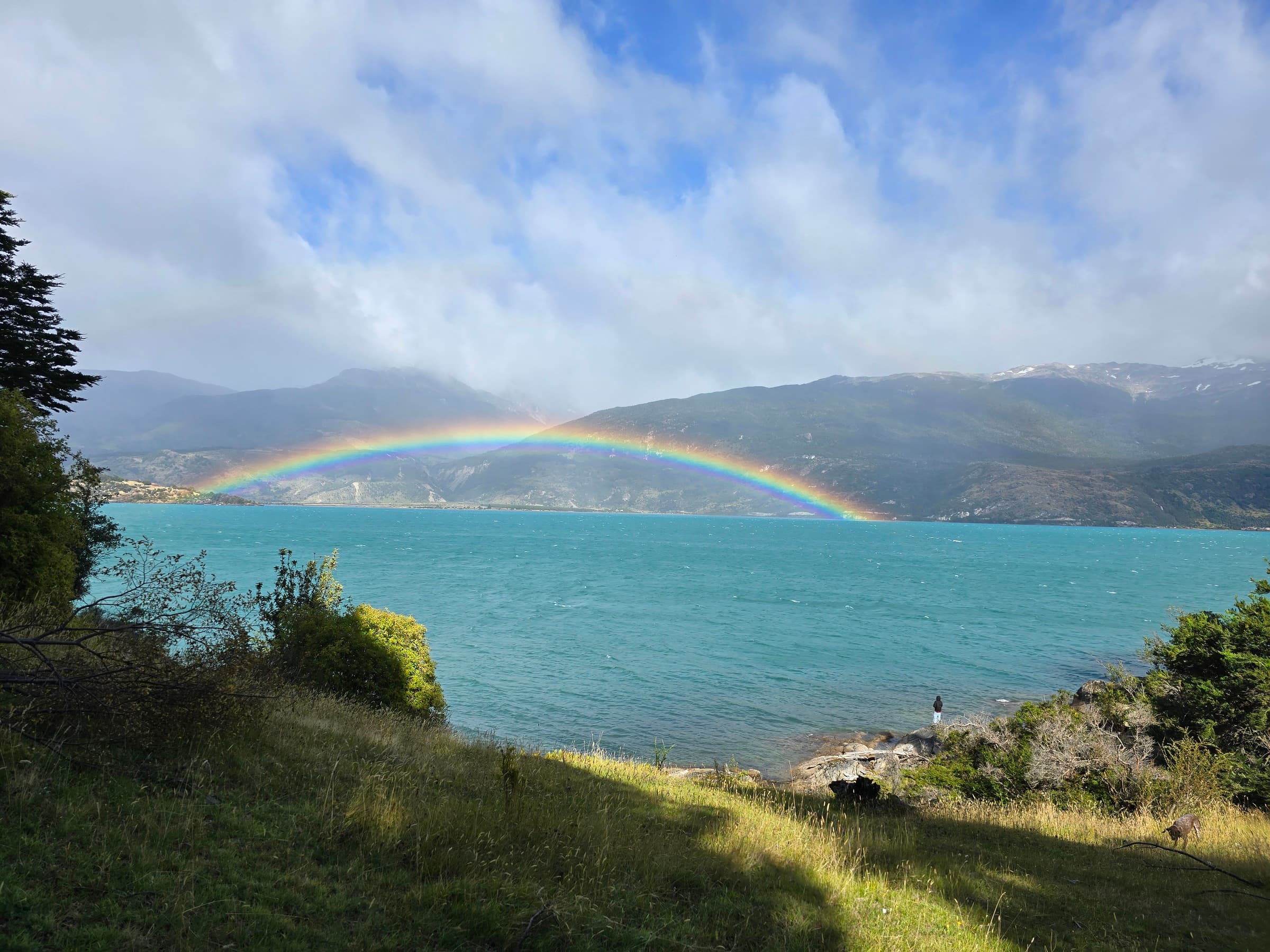 Parque Murta — PATAGONIA · IDENTIDAD & WEB